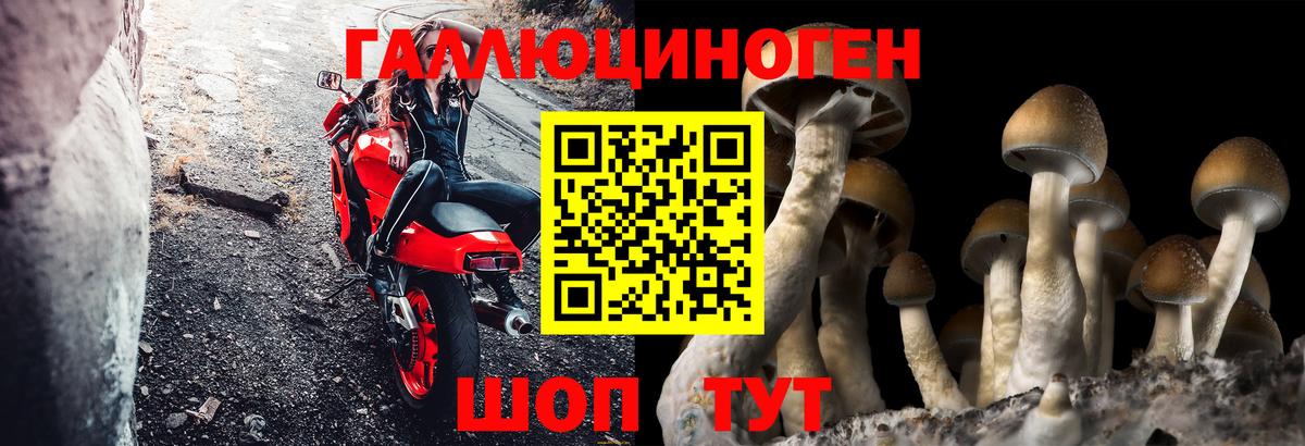 Псилоцибиновые грибы мицелий  Псилоцибиновые грибы Cubensis  Миллерово  Вход с VPN 